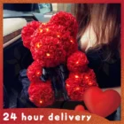 Valentine's Day Gifts Red Rose bear 9